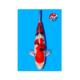 No1Koi sanke tamaura 65 cm azukari koi show quality